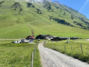Croix de Stata et exploration des plantes en milieu alpin - La Clusaz - 2