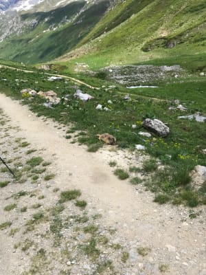 Echappée belle en Vanoise et proximité avec les glaciers - Decathlon - 3