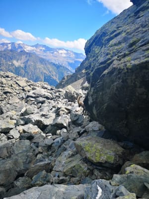 Belledonne-massief en begeleide wandeling met steenbok - Chamrousse - 2