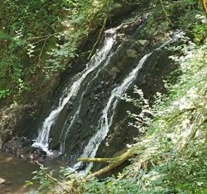 Randonnée de la cascade à Laguenne - Laguenne-sur-Avalouze - 2