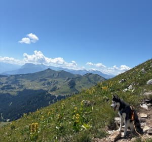 Pointe de Chalune - Elsa - 3