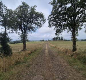 Sentier du Puy Bouval - Virginie - 3