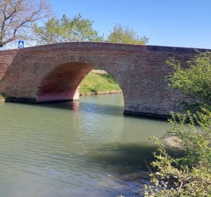 Canal du Midi au départ de Castanet-Tolosan - Castanet-Tolosan - 2
