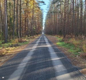 Staw Nowa Kuźnia - Krapkowice - 2
