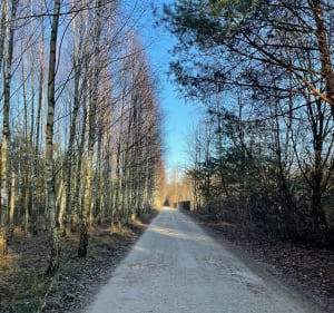 Dąbrowa Lipowska - Zuzia - 2