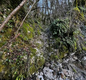 Randonnée à la Roche Percée de Béon - Alberto - 3