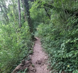 St Antonin Noble Val, cirque de Bône et le long de l'Aveyron - Saint-Antonin-Noble-Val - 3