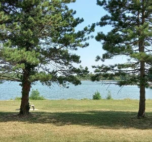 Un dimanche au Lac des Bretonnières - Mél - 4