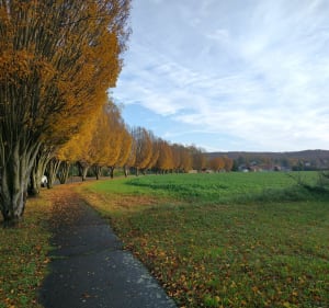Balade d'Etrechy à Auvers entre village et forêt. - Étréchy - 2