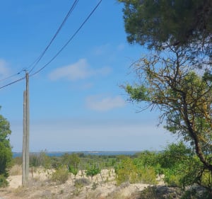 Boucle autour des étangs de Sigean - Narbonne - 2