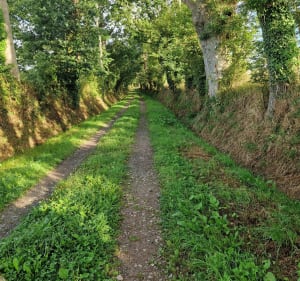 Balade vers Gombert - Carentan-les-Marais - 2
