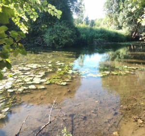 Boucle 10km Châteaugiron et bords de Seiche - Châteaugiron - 2