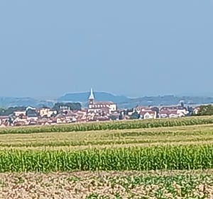 Boucle dans le Kochersberg - andre - 3