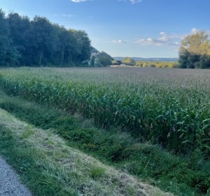 Saint-Ange par Chatillon - Romans-sur-Isère - 2