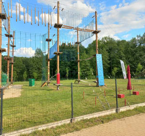 Brzeziny i okolica. - Brzeziny - 2