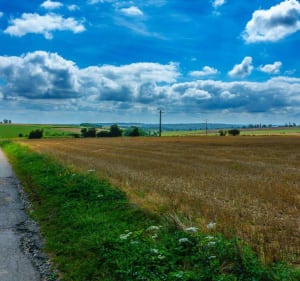 Roquetoire/Therouanne/Roquetoire - Roquetoire - 2