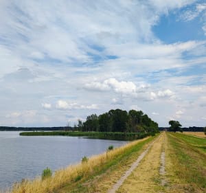 Jazda przez las nas jezioro - Opole - 2