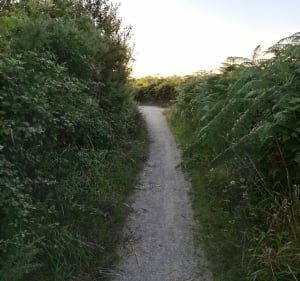 Promenade à la campagne de Flexanville - Flexanville - 2