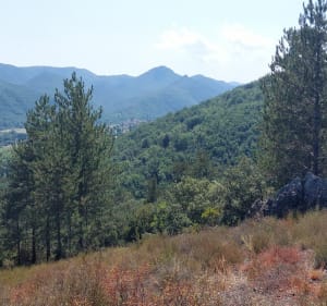 Sur les hauteurs de Lamalou/Pujol - Lamalou-les-Bains - 2