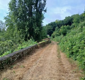 Les jardins de Ruffec - Ruffec - 2