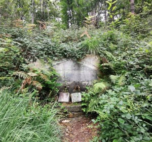 Le bois de Baliros - Baliros - 2