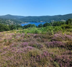 Tour du lac de Laouzas - Murielle - 3