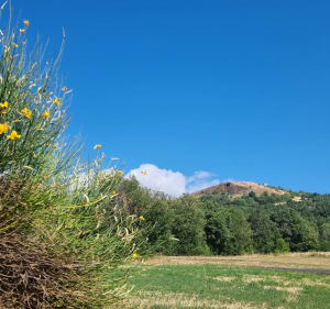 Circuit du Puy de la Rodde (village haut Montaigut-le-Blanc) - Jean-Luc - 3