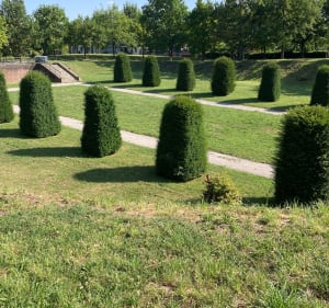 Vignoble / citadelle de Valenciennes - Valenciennes - 2