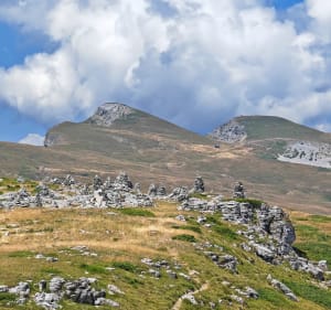 Boucle de chaux Clapier au Alpage de Font d'Urle - Bouvante - 2