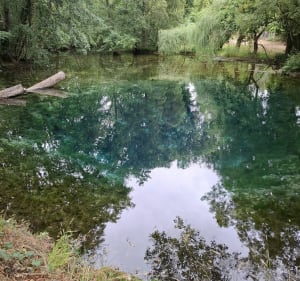 Magné - la source bleue - Magné - 2