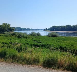 Les Eaux entremelées - Briollay - 2