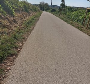 Hauteur de Pouilly le Monial : par voie taco et vignes - Porte des Pierres Dorées - 2