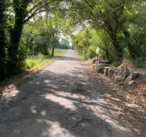 Pertuis à Lauris, une balade sur le plat - Martin - 4