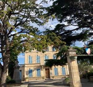 Pertuis à Lauris, une balade sur le plat - Martin - 3