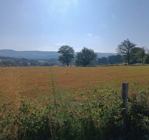 Anglards via Rabillou - Anglards-de-Saint-Flour - 2