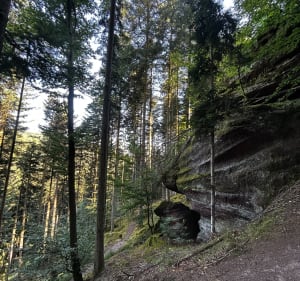 Tour de la forêt de Phalsbourg - Phalsbourg - 2