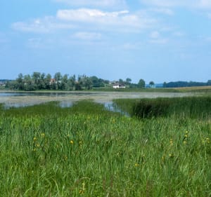 Randonnée à l'Etang de Lindre et boucle à Tarquimpol - Dieuze - 3