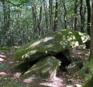 Sentier du dolmen à Ambazac - Ambazac - 2