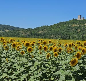 Comus sur deux jours - Severine - 2