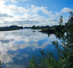 Boucle des rivières - Angers - 4