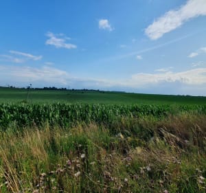 Obrzeżami Czeladzi i nie tylko - Łukasz - 2
