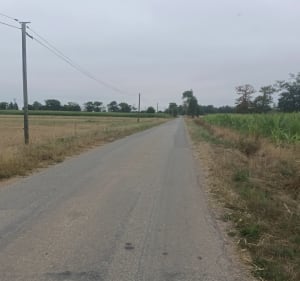 Balade à Saint-Thurial - Hélène - 3