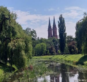 Ujście Zgłowiączki do Wisły - Włocławek - 4