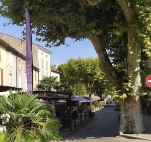 Petite balade tranquille à Vinon sur Verdon - Vinon-sur-Verdon - 2