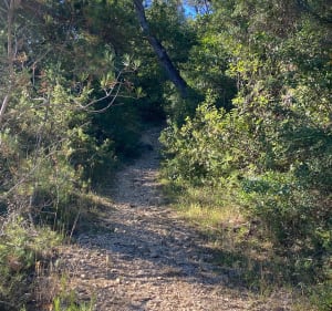 Autour de Rocbaron - Rocbaron - 2