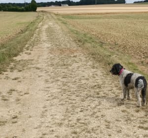 Rupt-aux-Nonains - Haironville - Rupt-aux-Nonains - 2