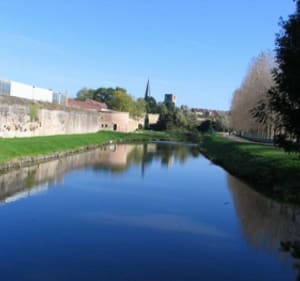 Bergues Nature et Histoire - Bergues - 3