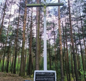 Częstochowa- Konopiska-Niwy-Pajdowa Gora-Blachownia - Częstochowa - 2