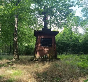Nowosolna - Wiączyń Dolny - Vita - 2
