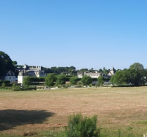 Joué-lès-Tours à Langeais - Joué-lès-Tours - 2